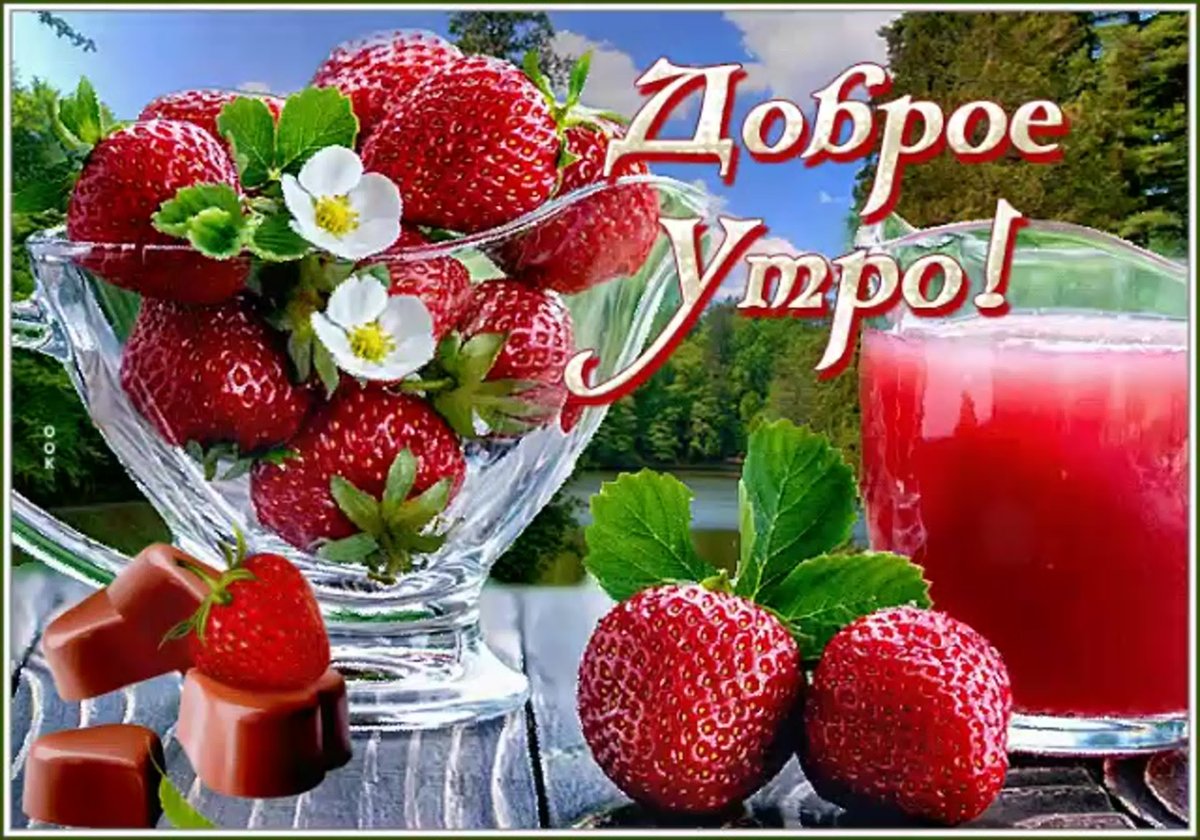 Нежное утро