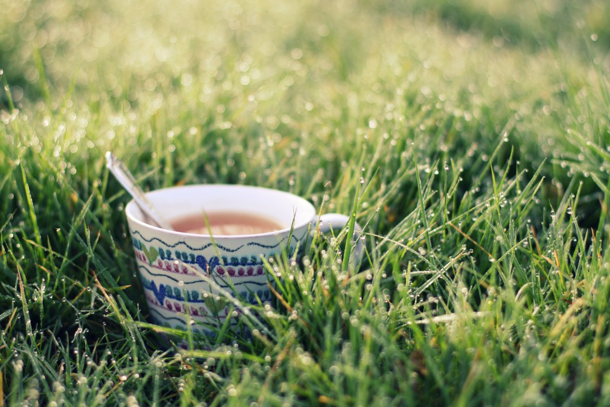 Чай на природе