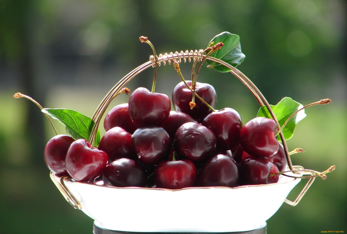 Спелая черешня