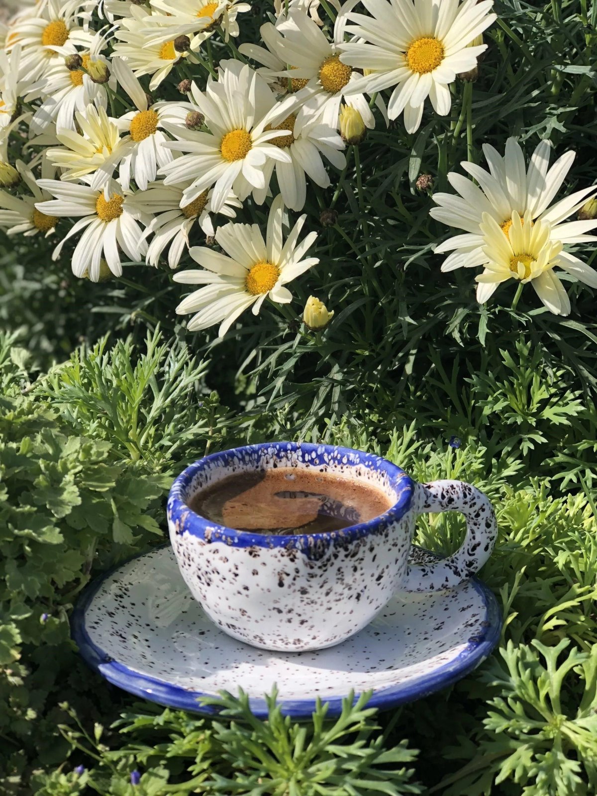 Кофе и ромашки фото