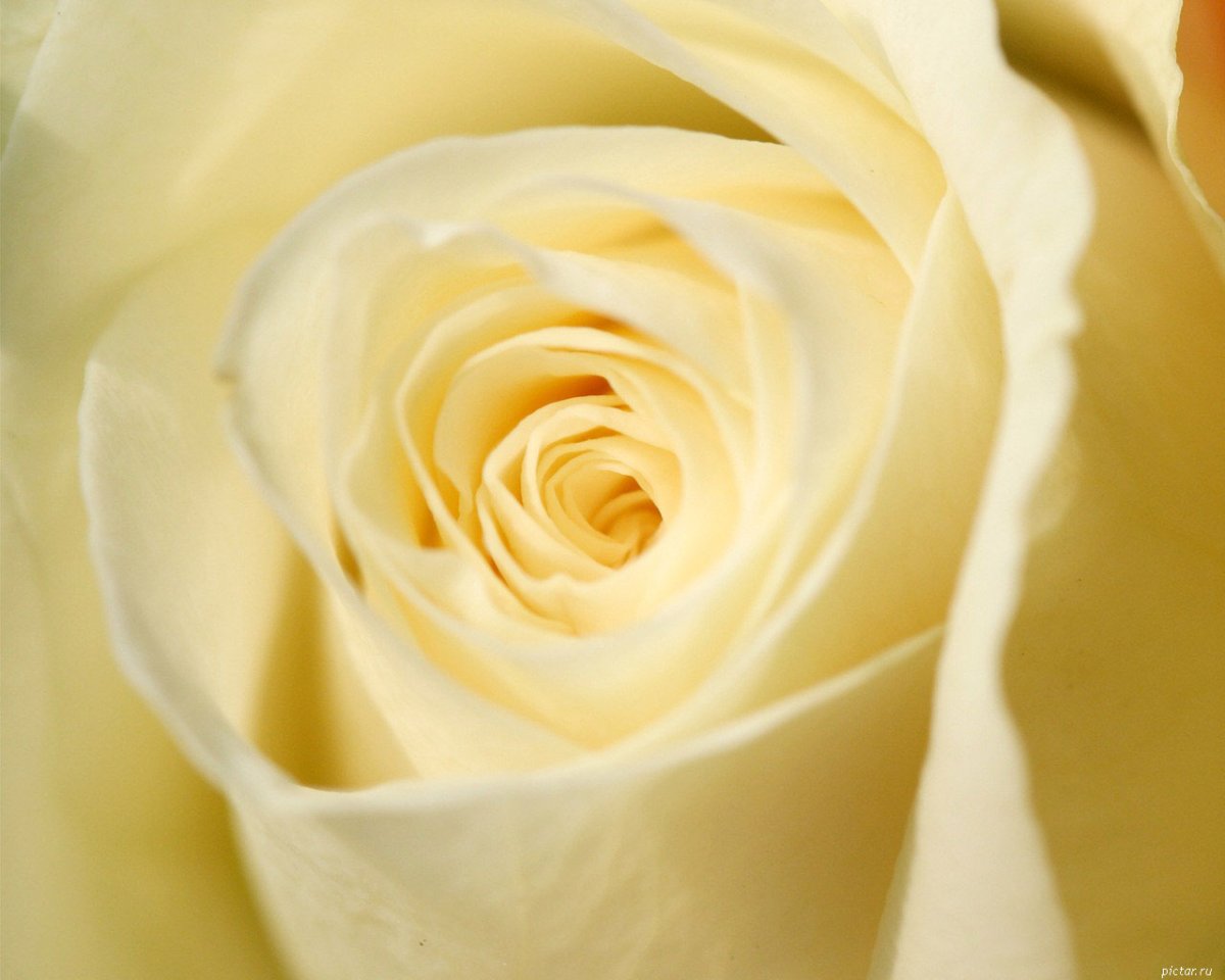 Комплименты девушке