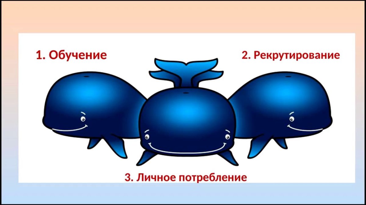 Три кита для детей