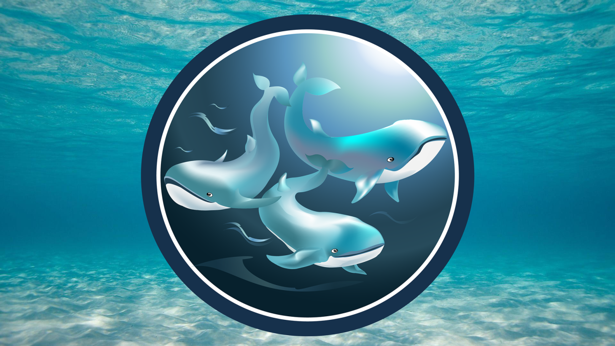 Финансовый кит