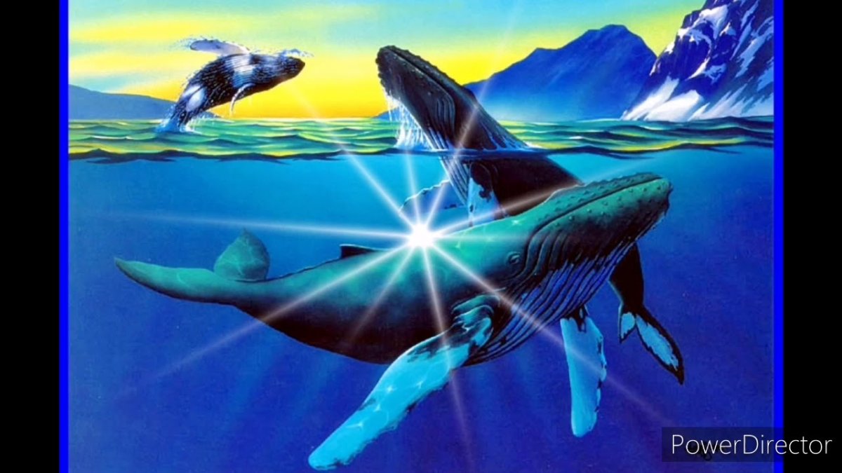 Легенда о трех китах