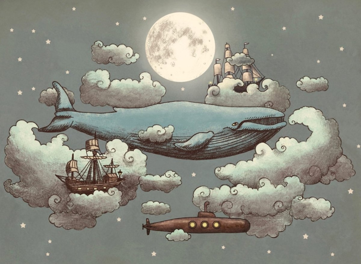 Подводный мир касатки