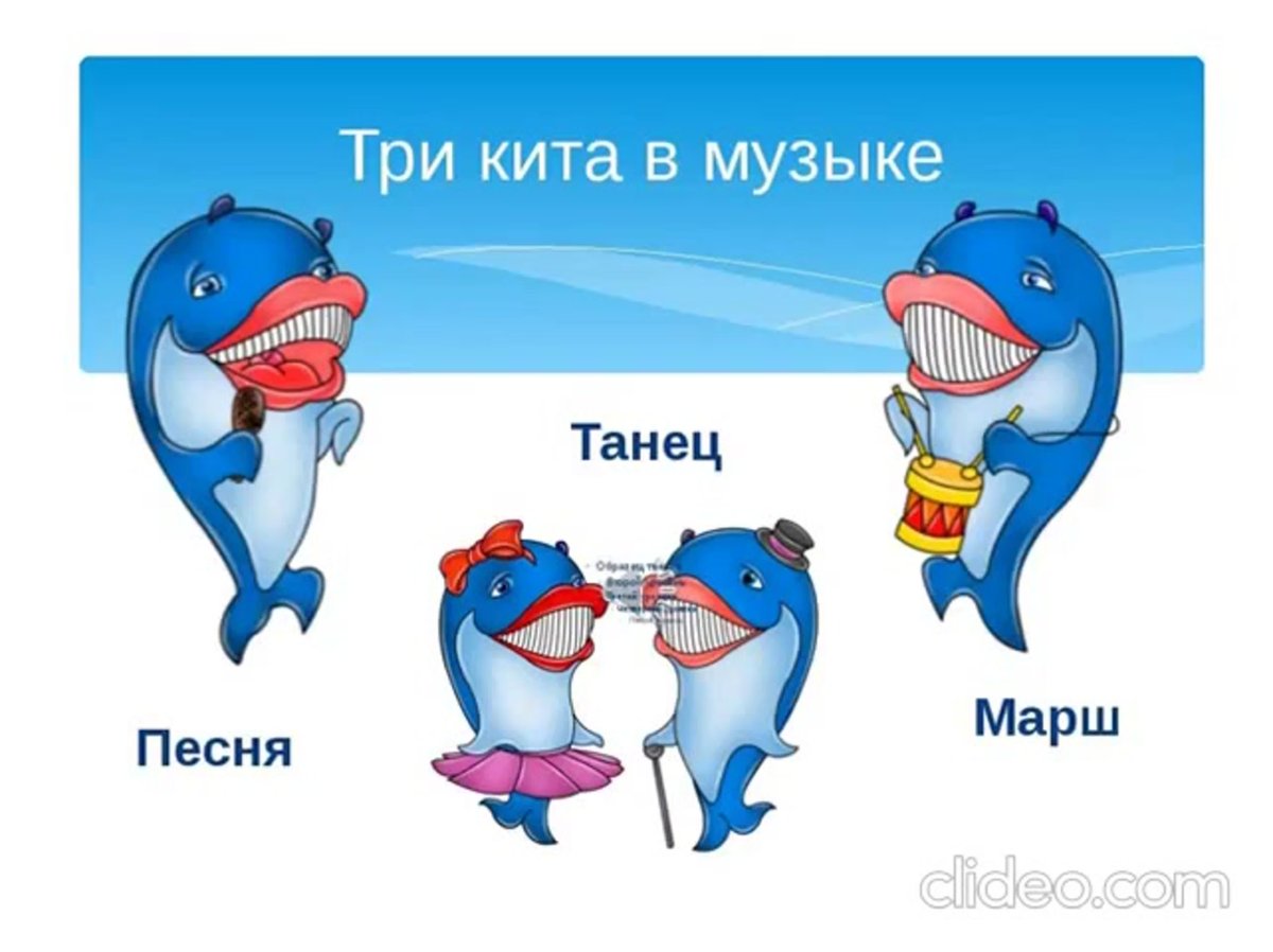 Летающий кит