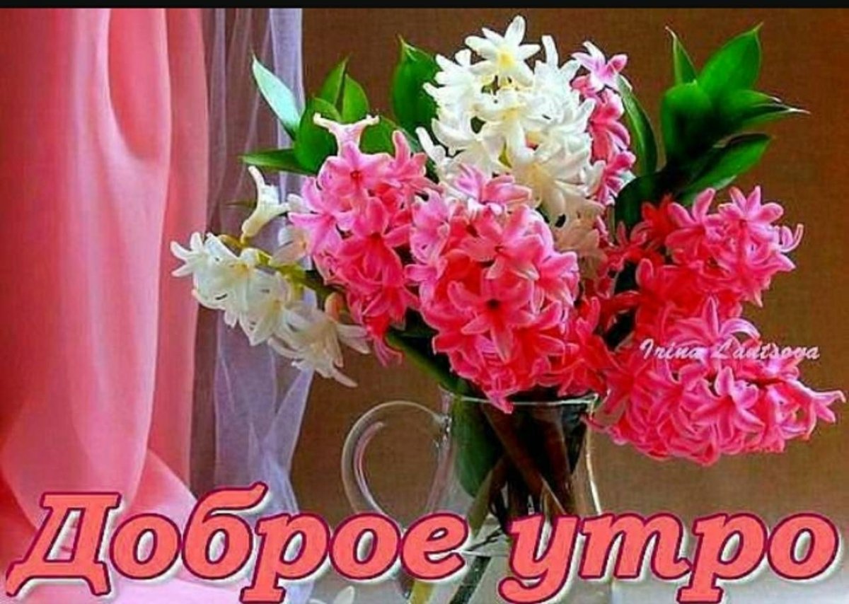 С добрым утром гладиолусы