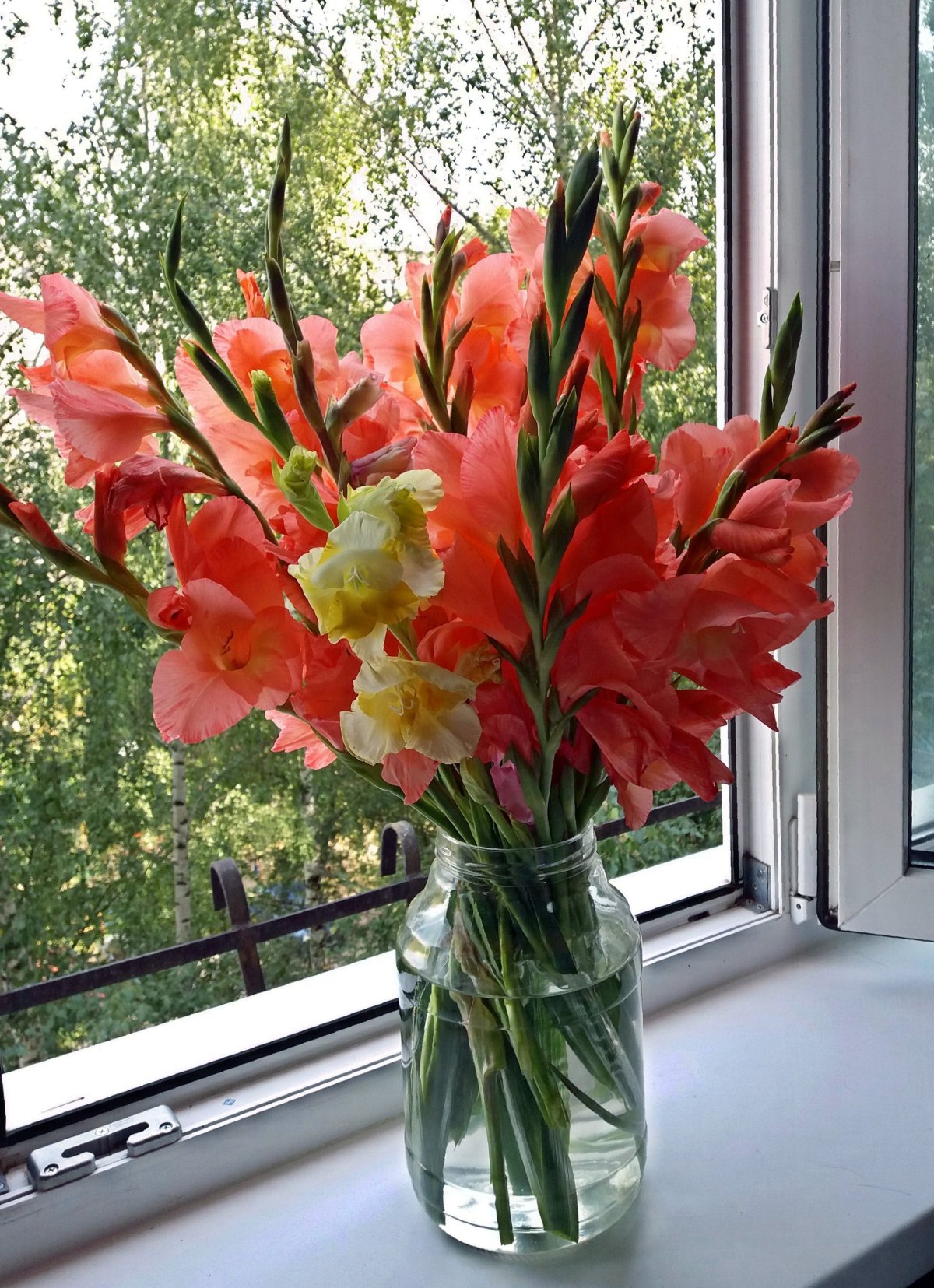 Ваза с гладиолусами