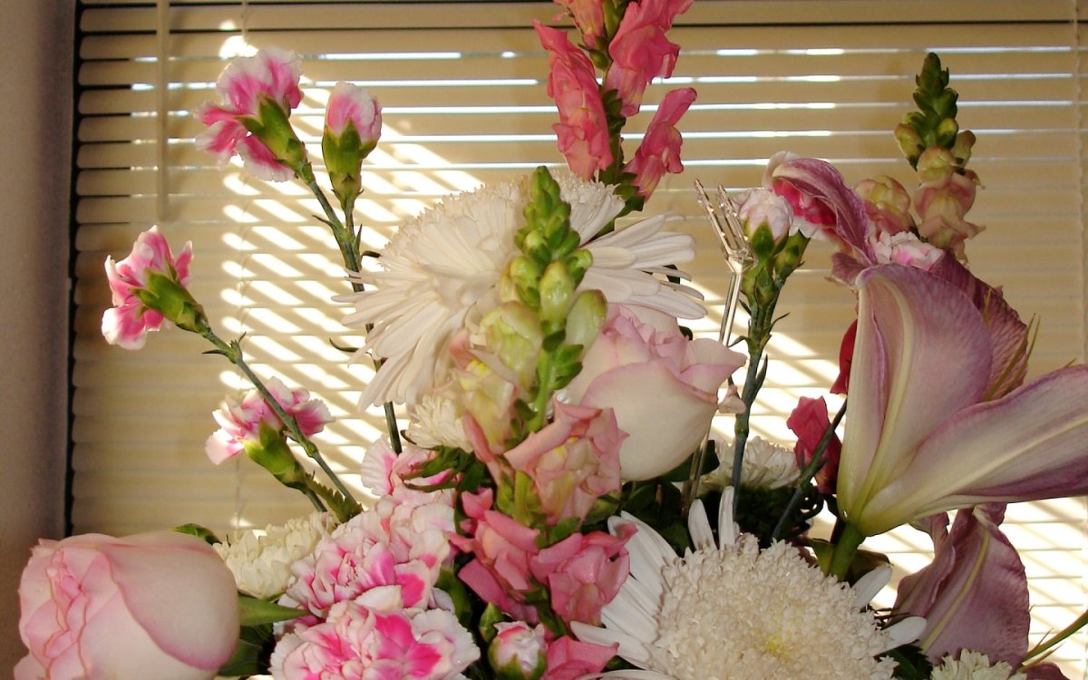 Букет Хризантема гладиолусы цветы