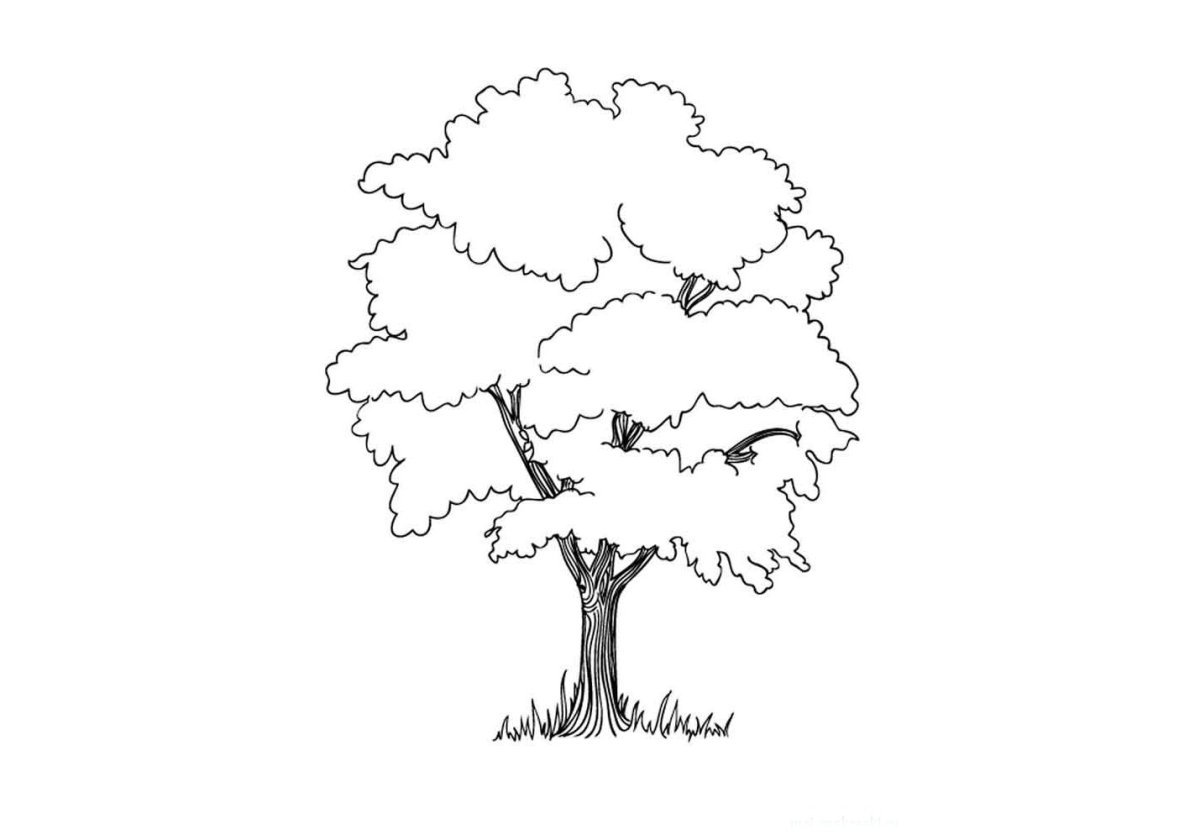 Дерево раскраска