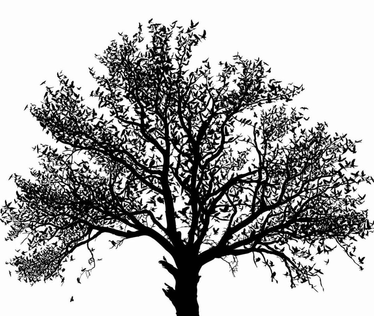 Белое красивое дерево на черном фоне