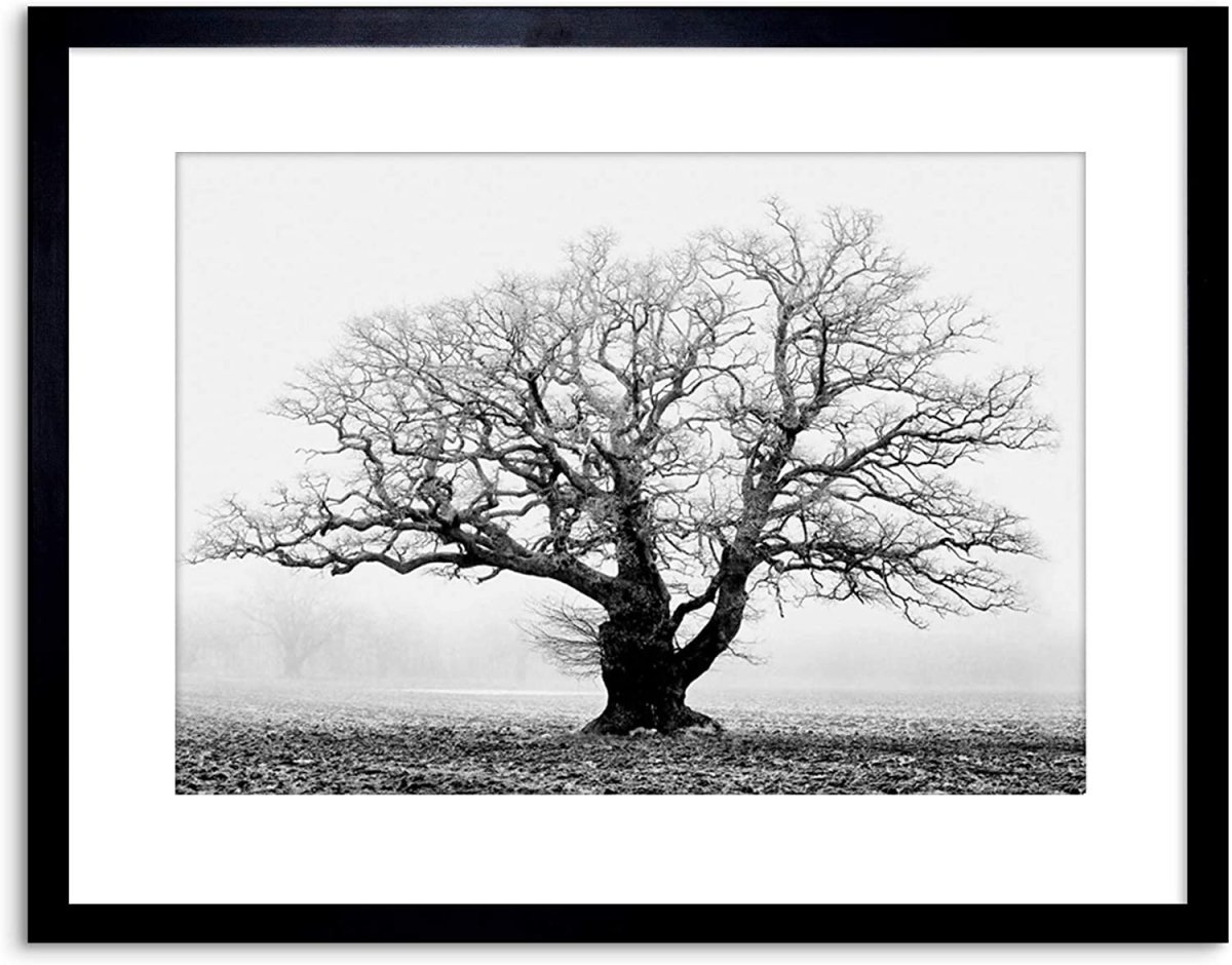 Картина черные деревья