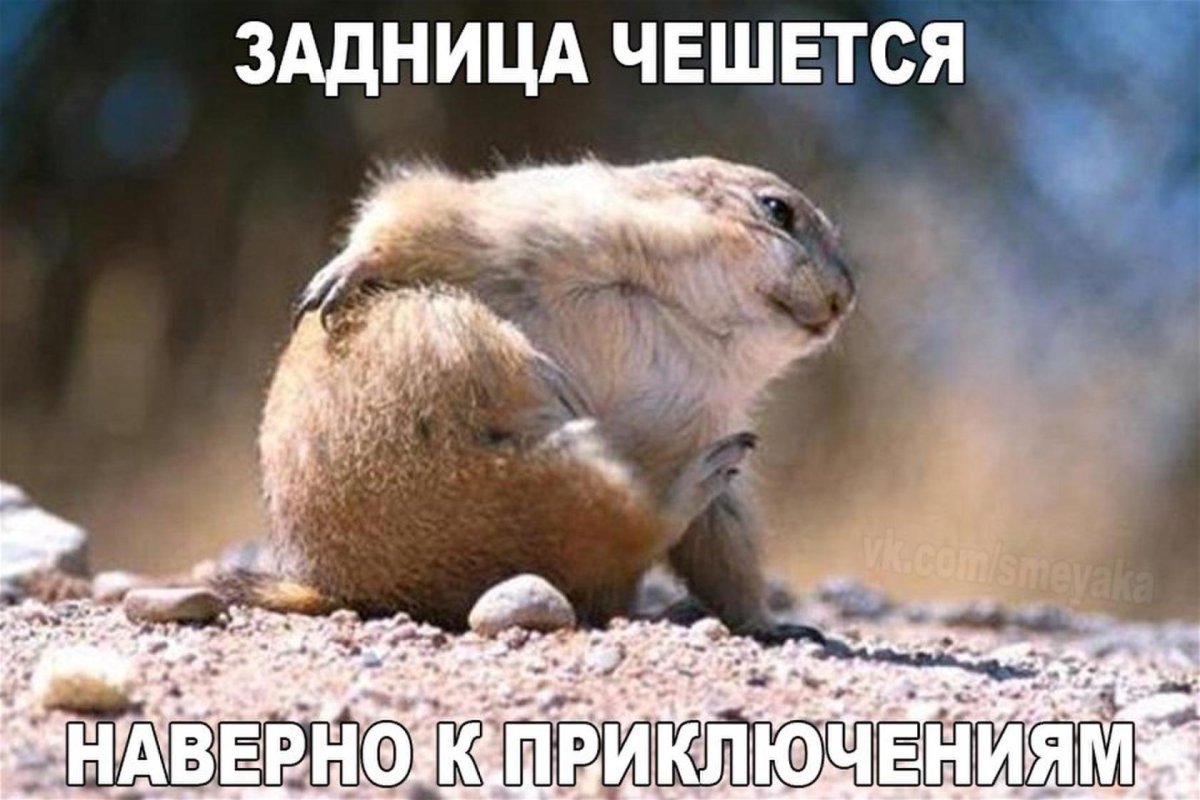 Фин и Джейк