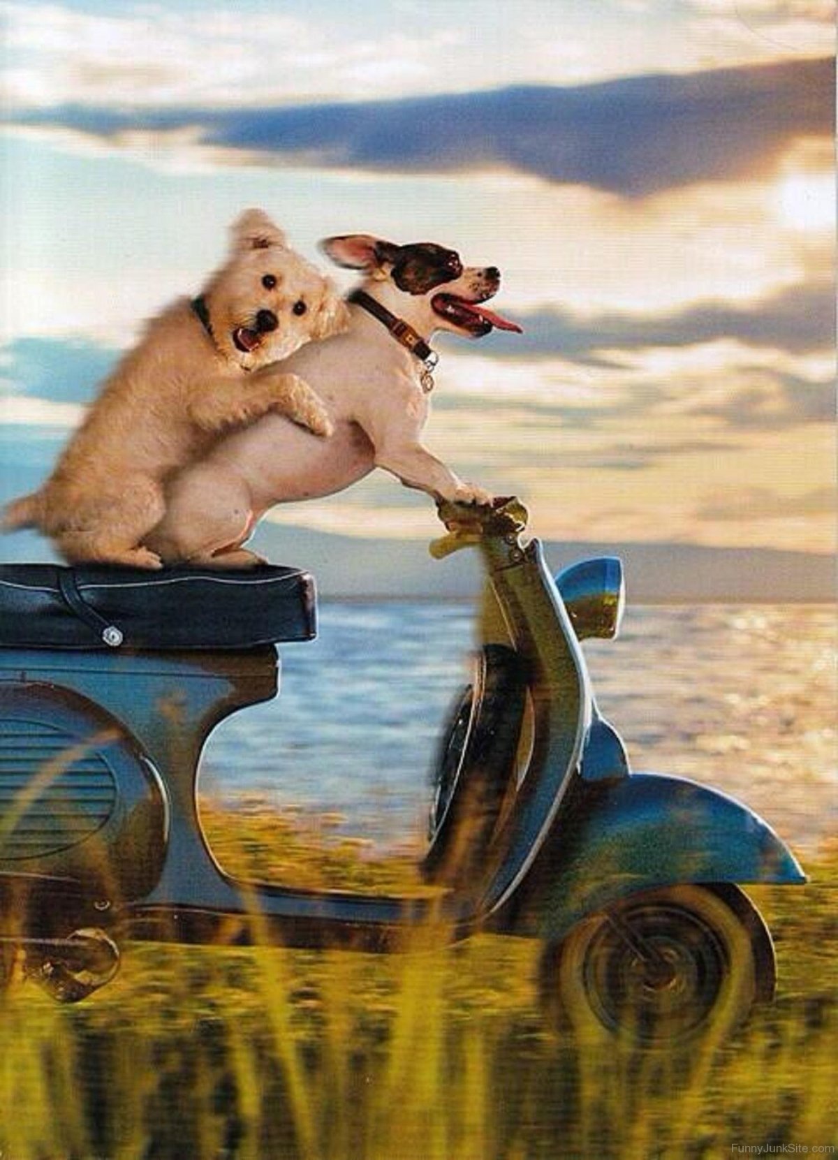 Смешной арт