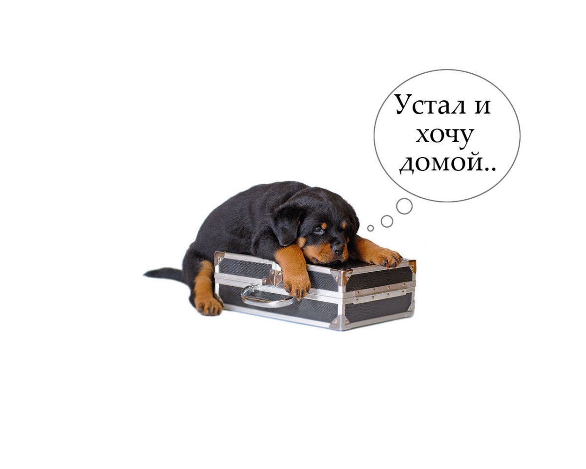 Я устал хочу домой