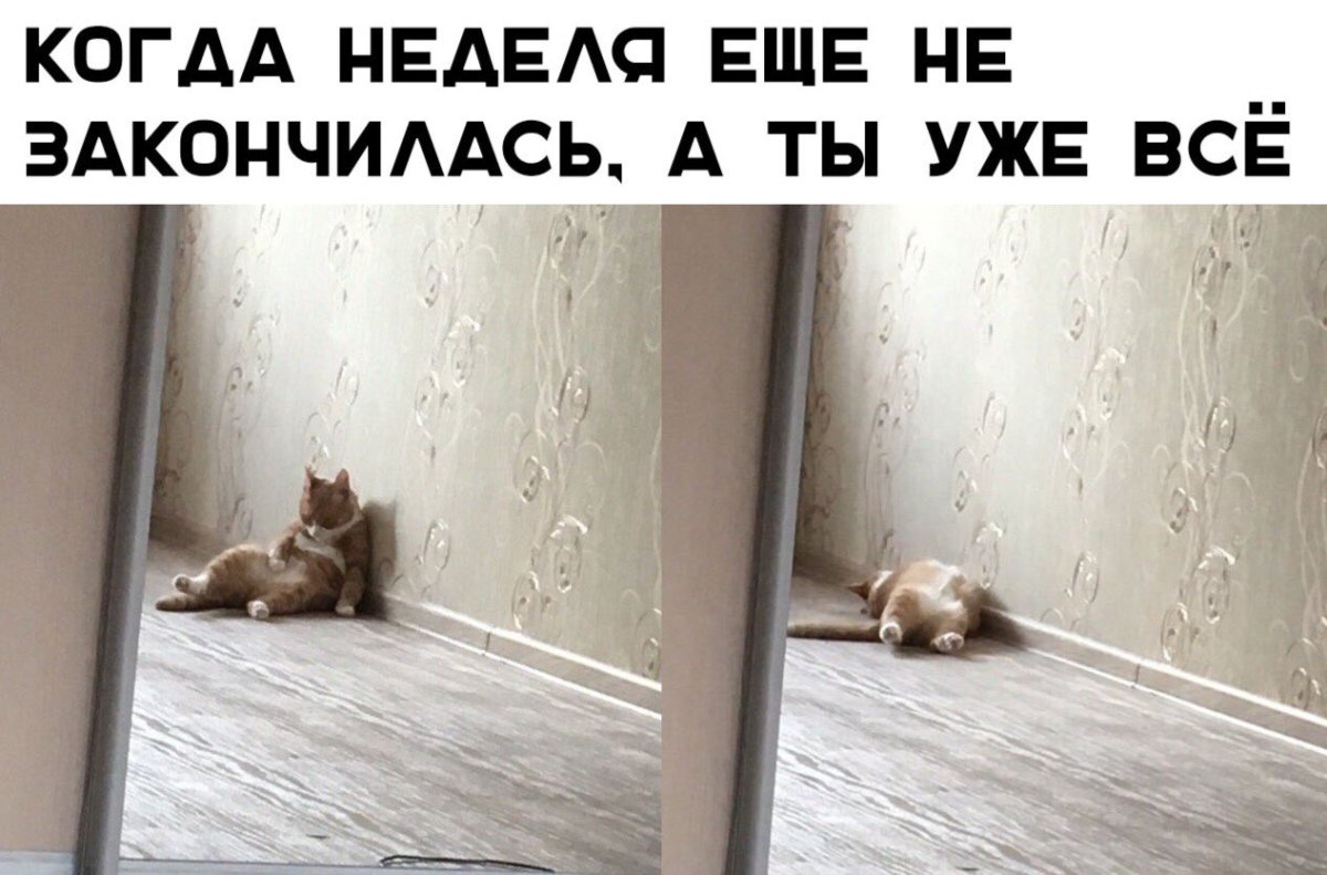 Домой после работы