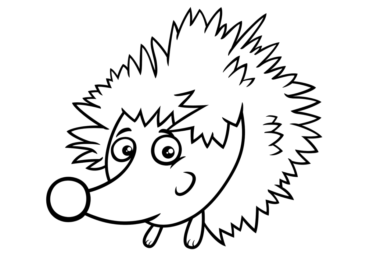 Заяц и еж профиль рисунок-эскиз