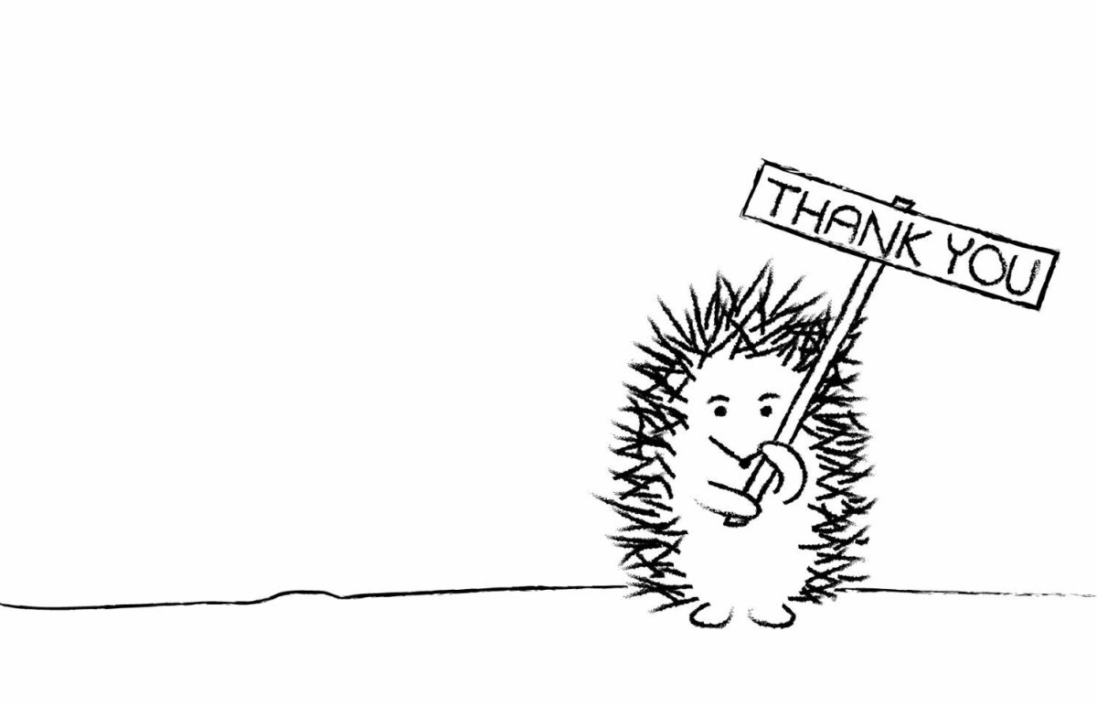 Ежик вид сбоку