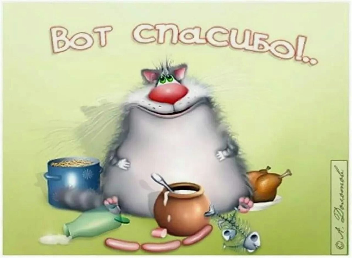 Спасибо за обед