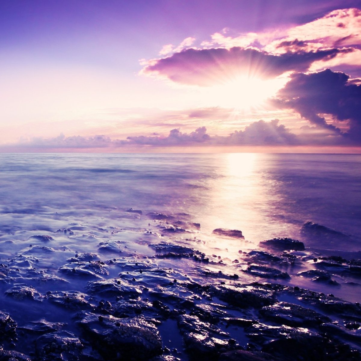 Природа Эстетика вертикально