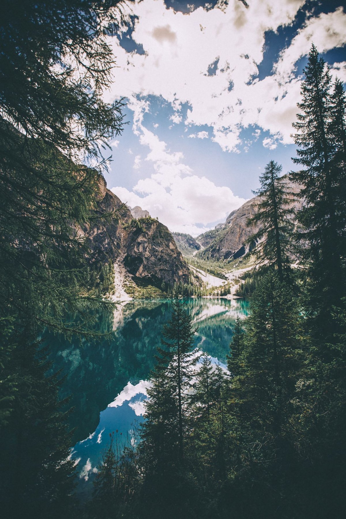 Обои на смартфон вертикальные