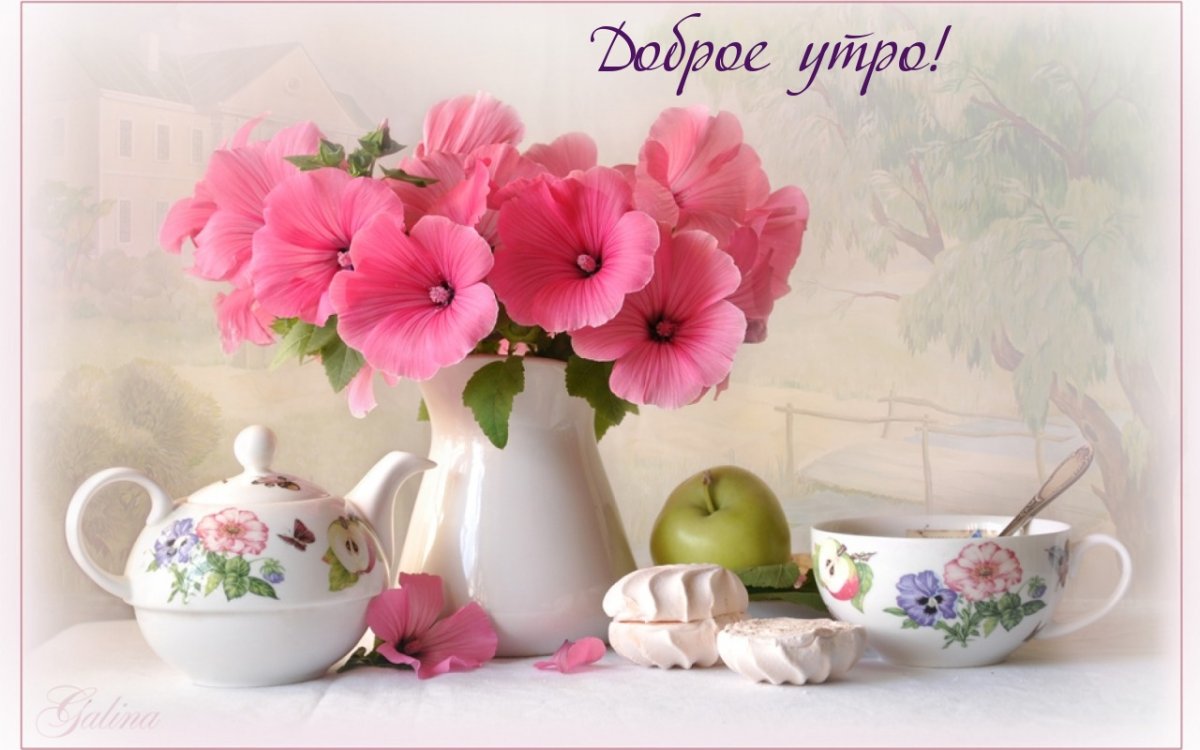 Нежное утро