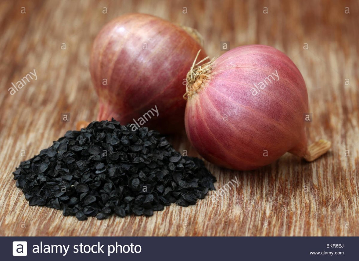 Лук Чернушка севок, репчатый