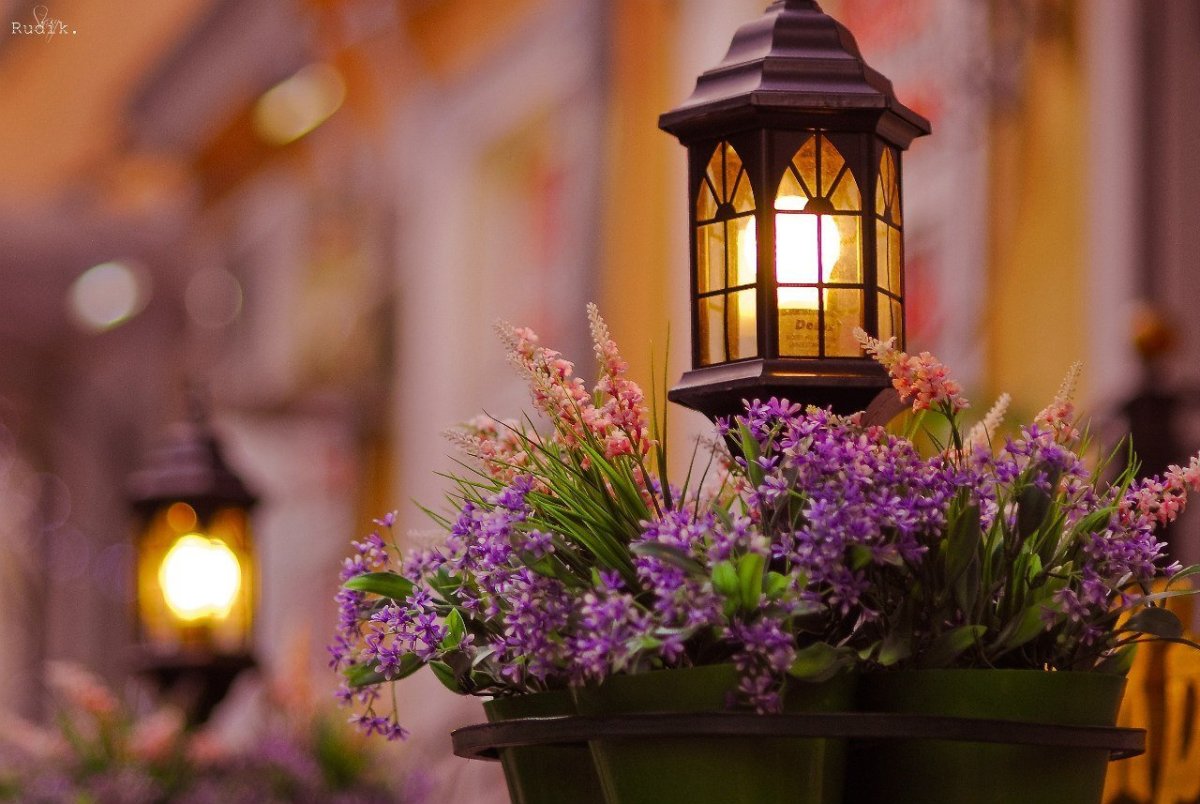 Уютная осень