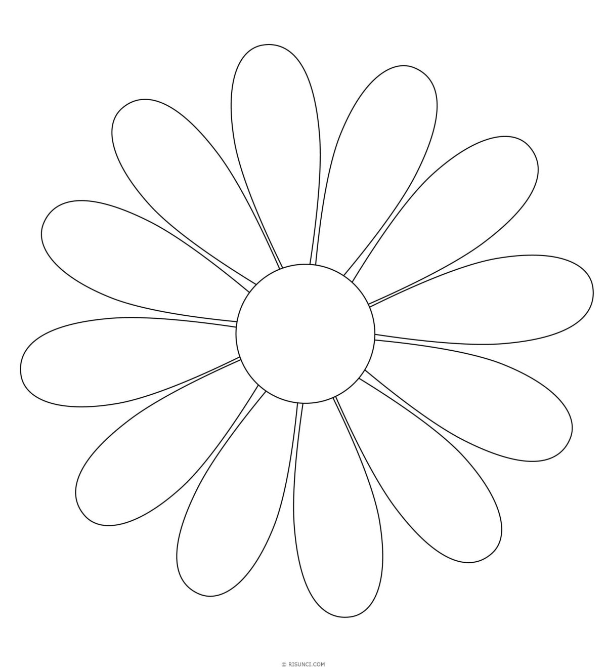 Ромашка раскраска для детей