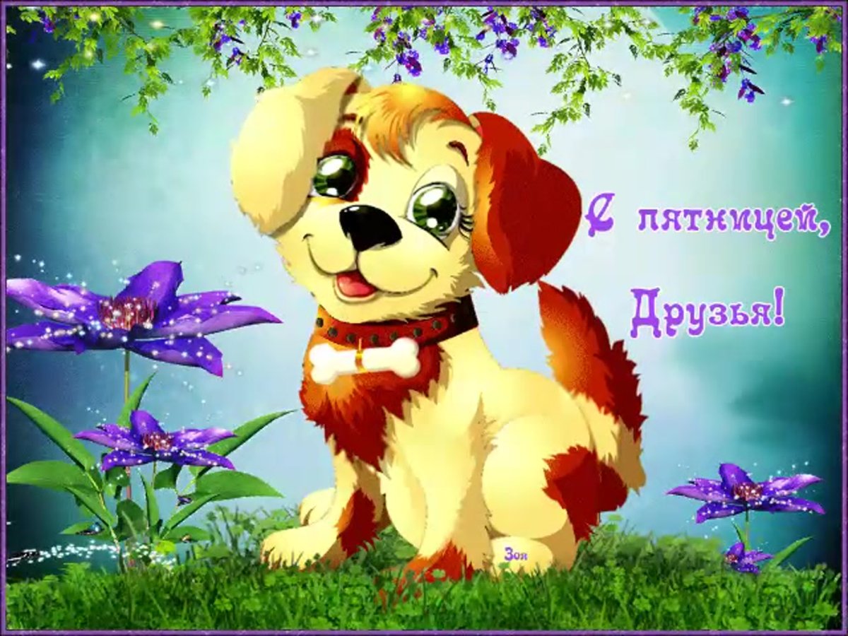 Открытки с пятницей