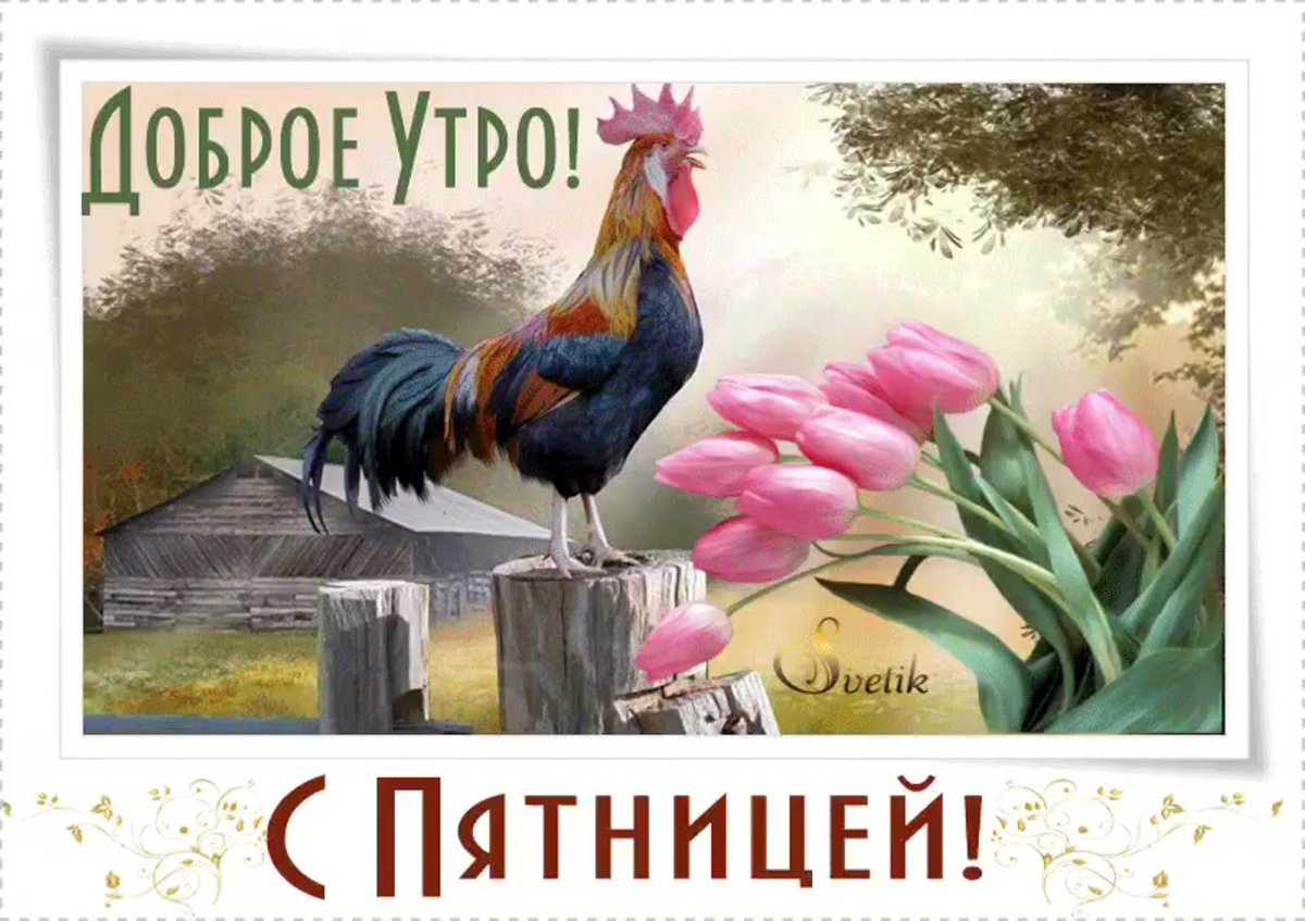Поздравление с пятницей