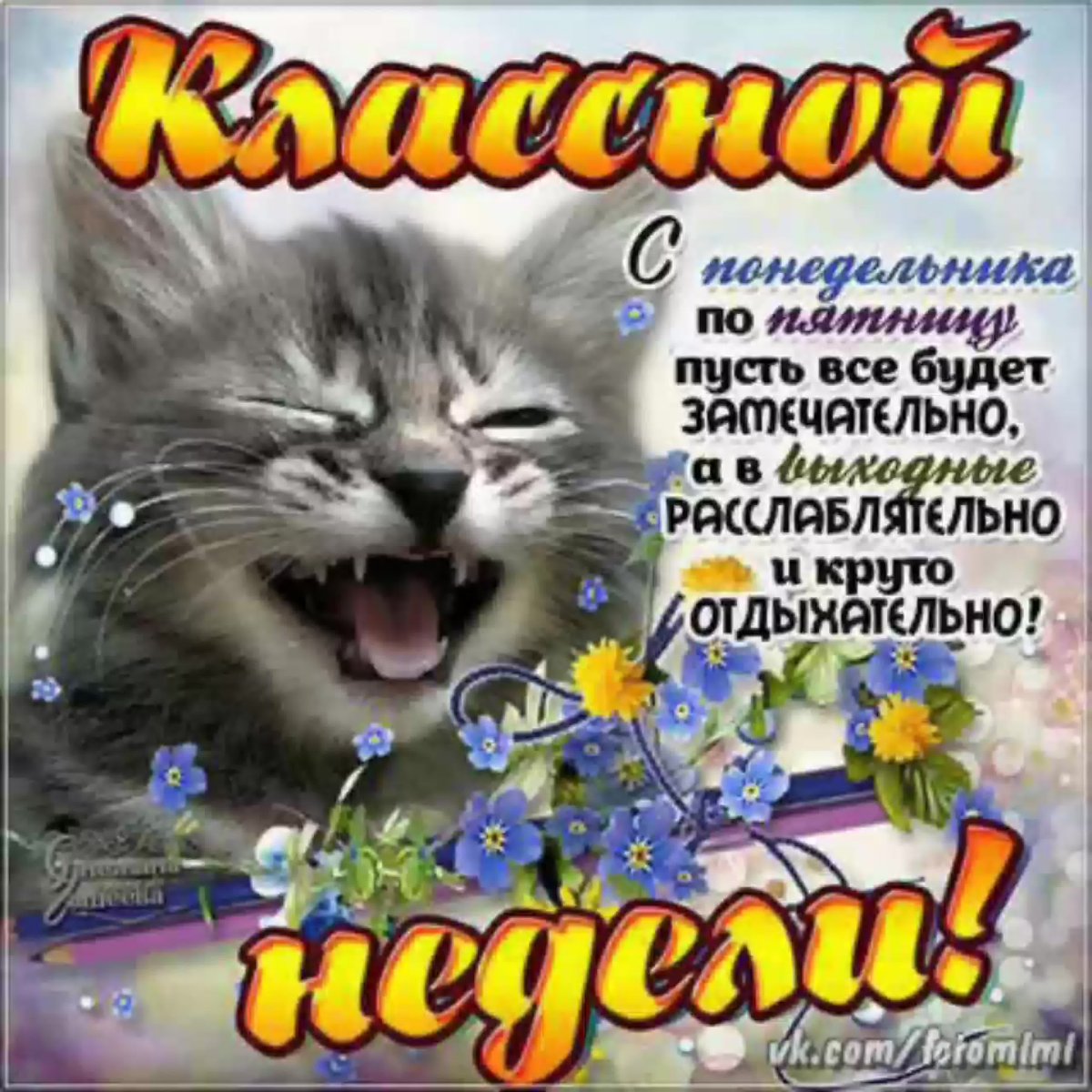 Поздравление с понедельником