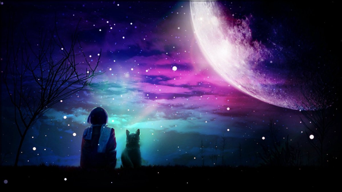 Всем спокойной ночи друзья