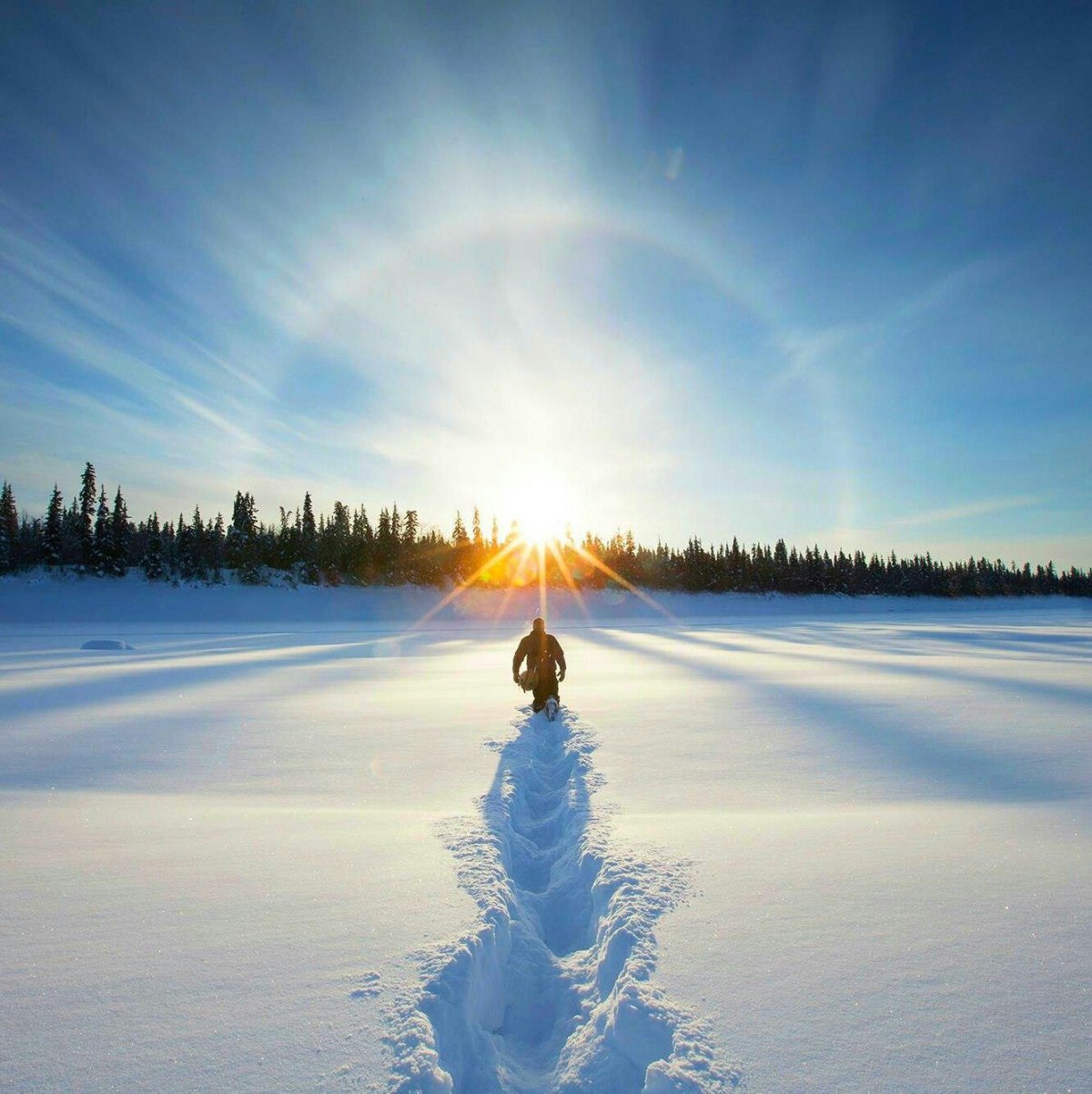 Холодного солнца Луч