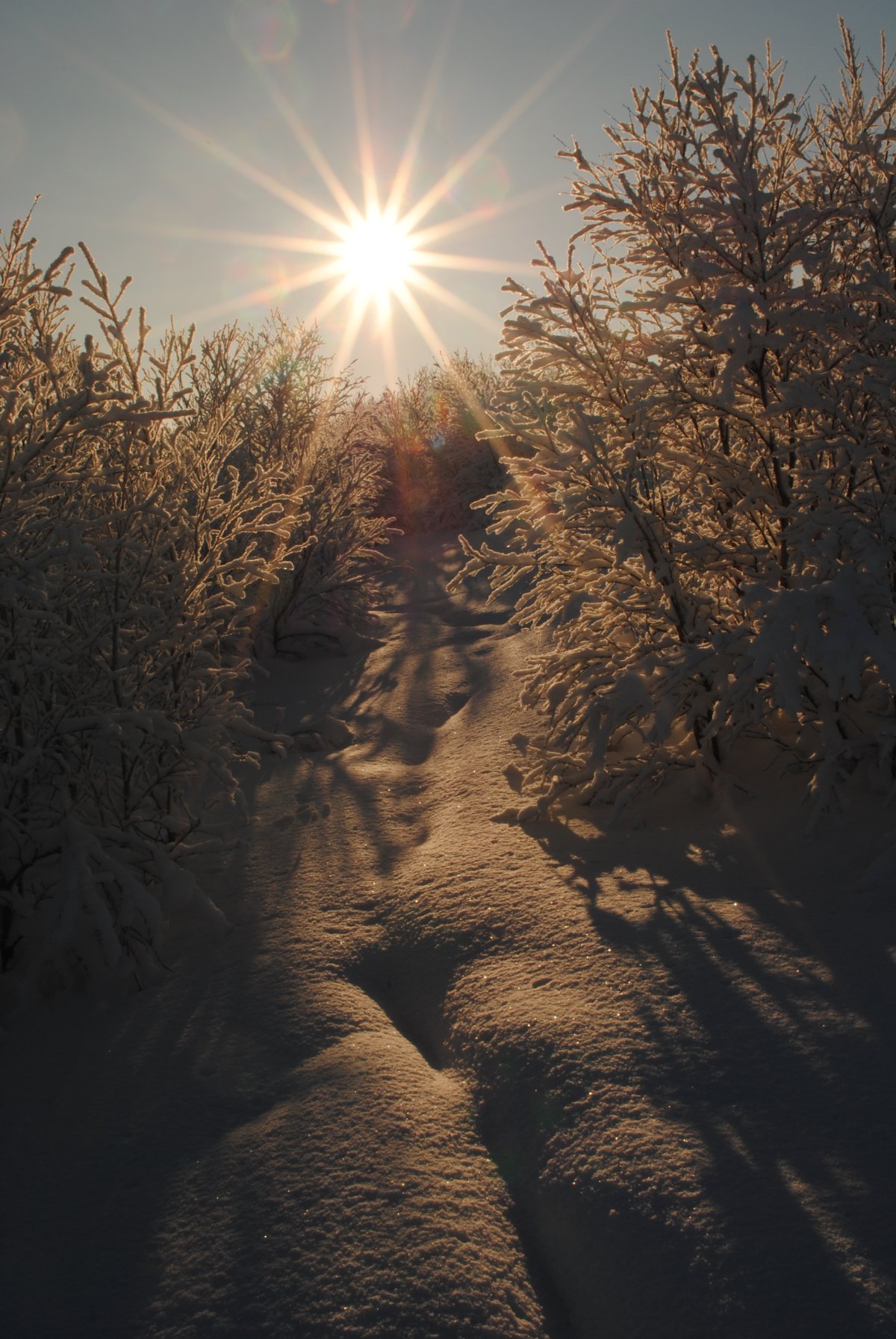 Мороз и солнце утро