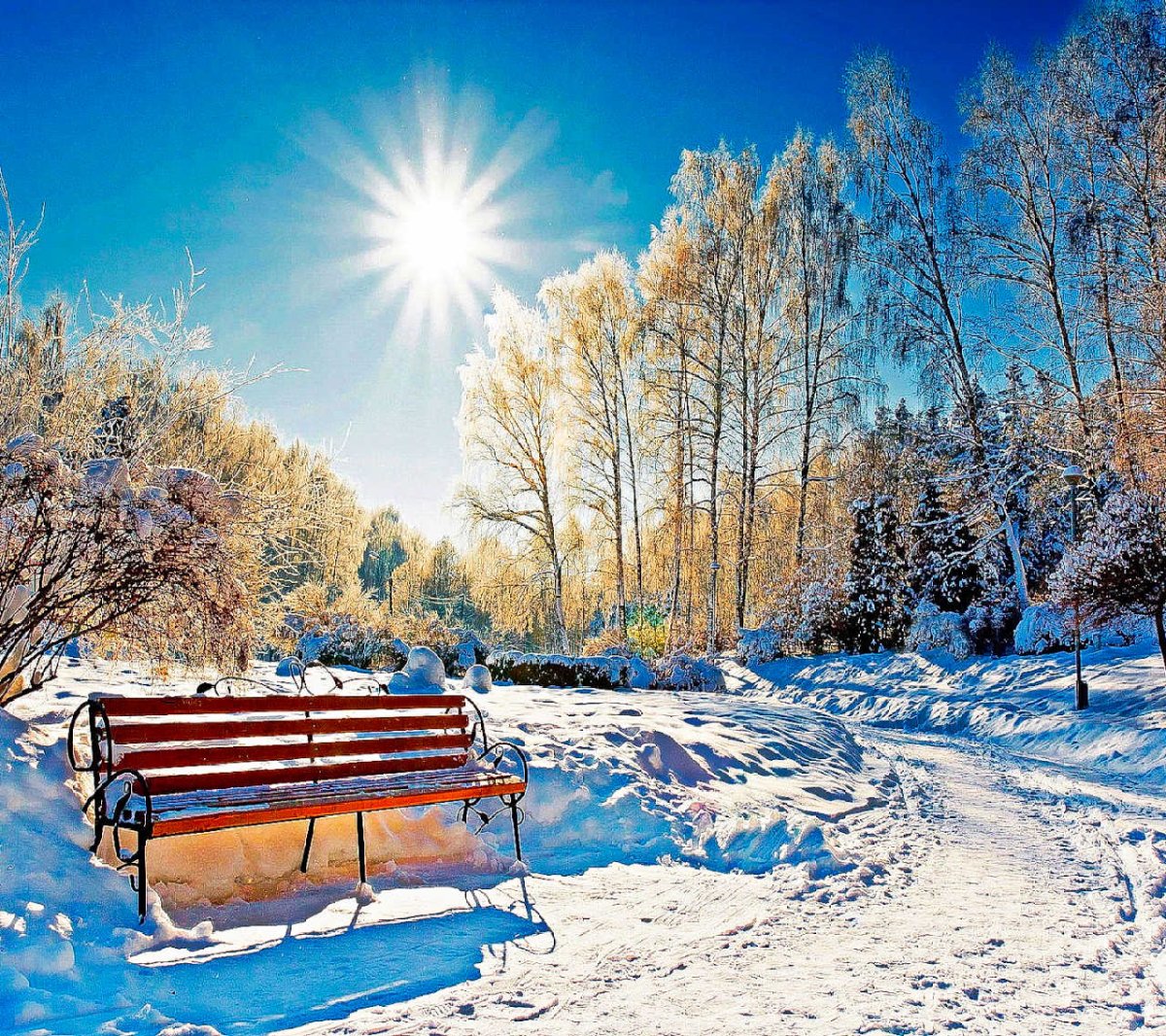 Рассвет в зимнем лесу