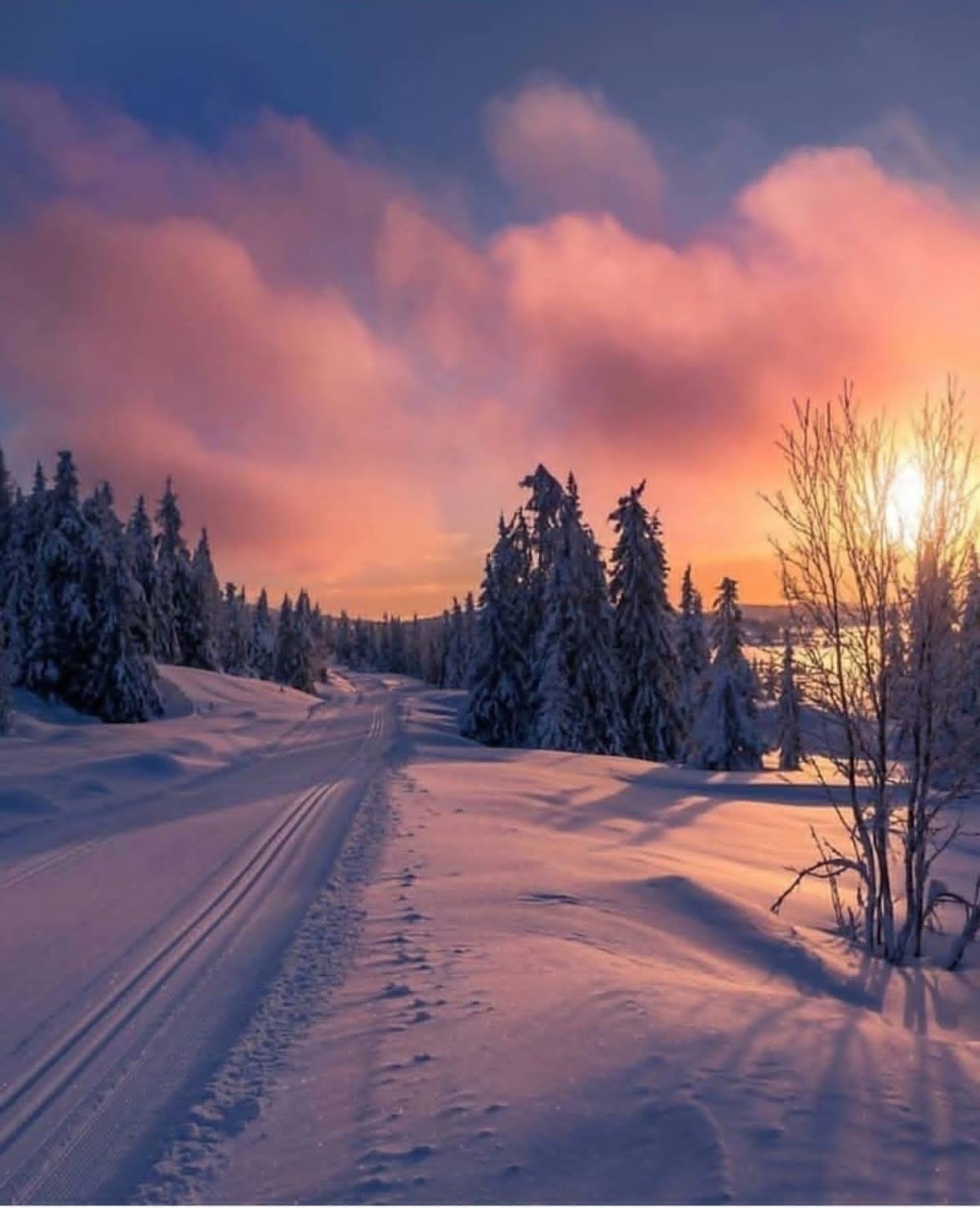 Декабрь картинки