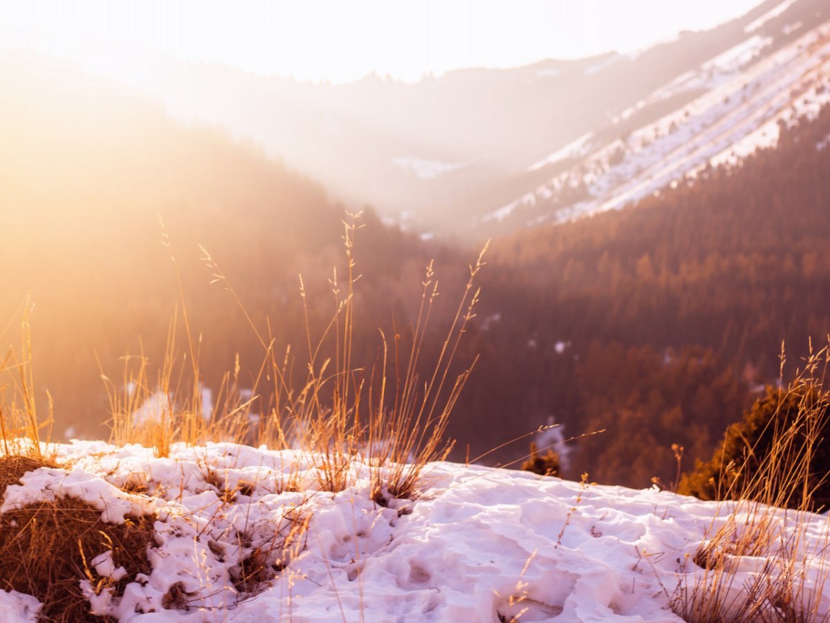 Морозное зимнее утро