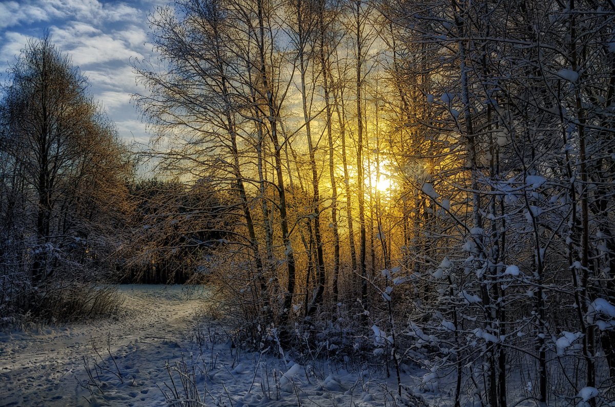 Стильная девушка в горах
