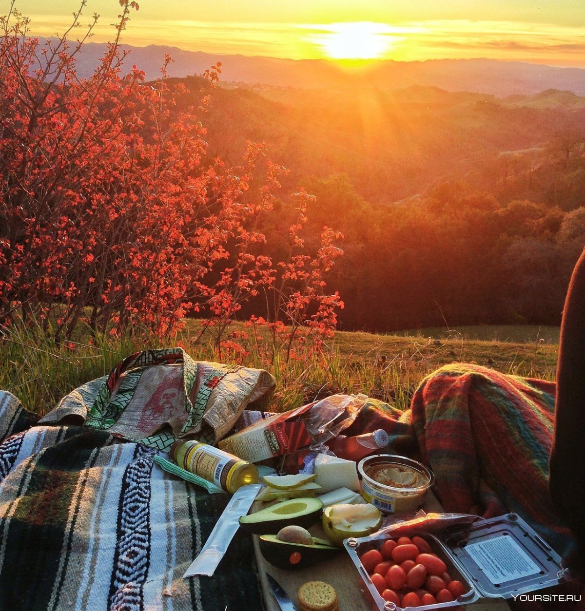 Завтрак на природе