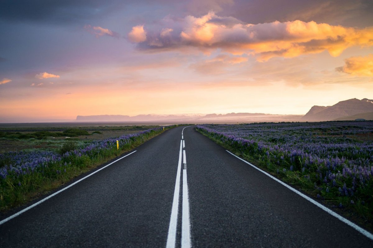 Дорога вперед