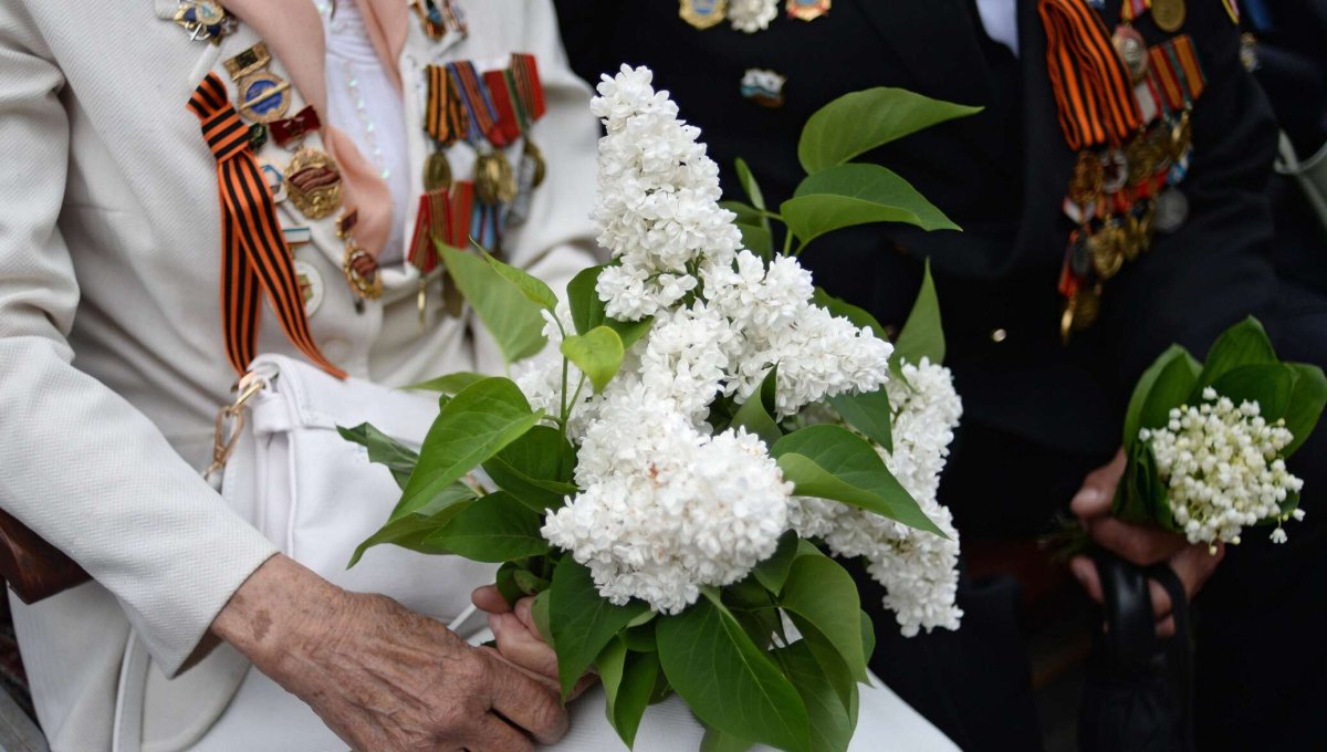 Сирень день Победы