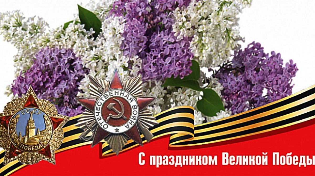 Сирень день Победы