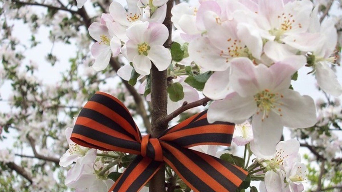 Плитка bellezza Арома сирень