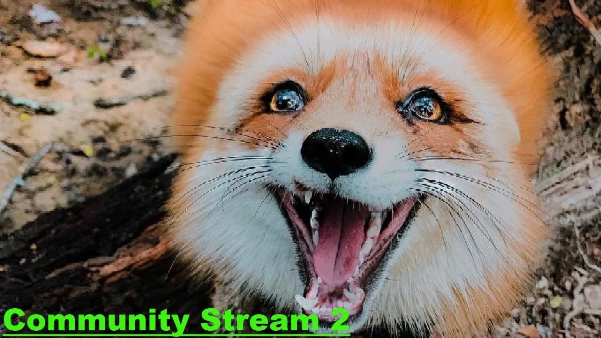 Хитрость лисы