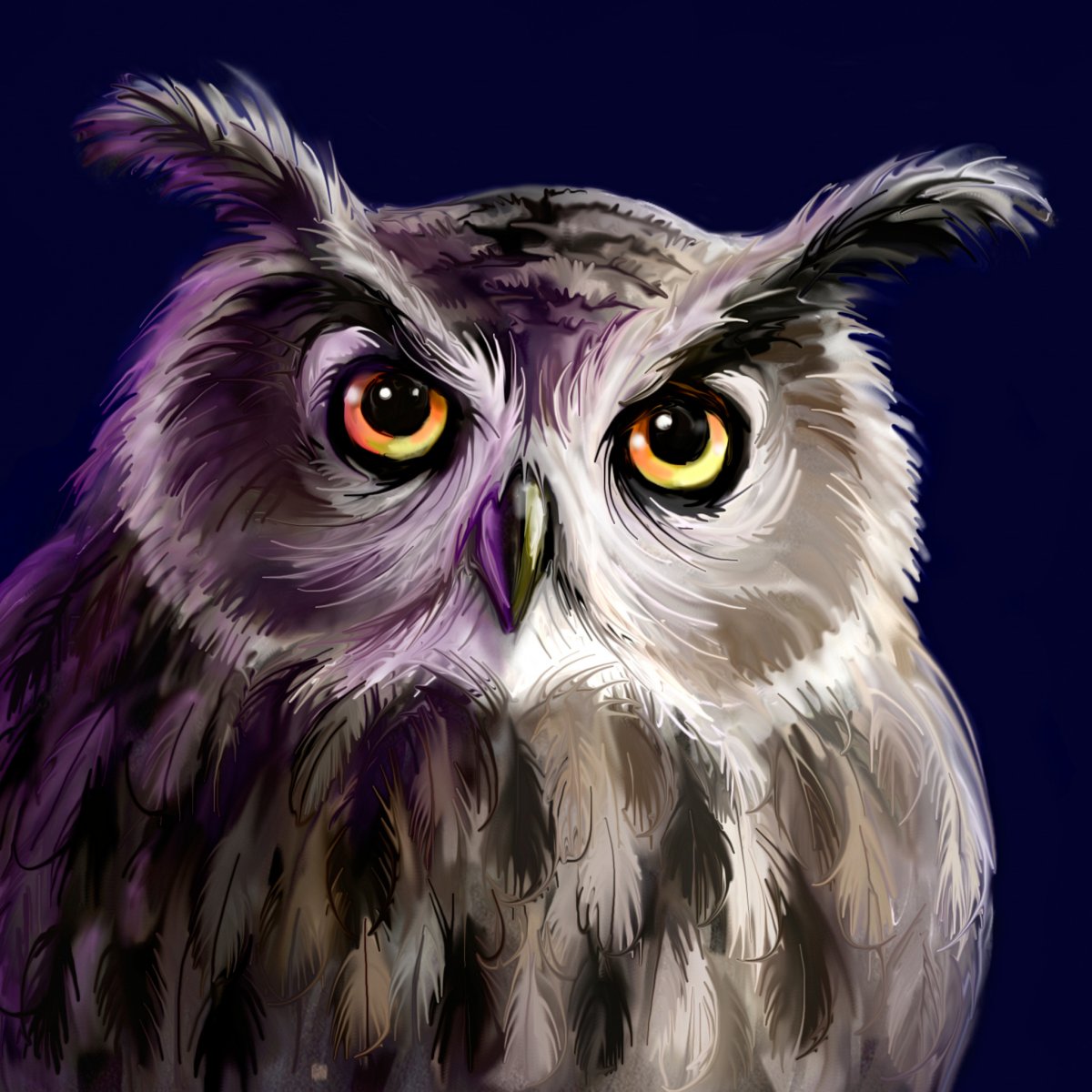 Фиолетовый Филин