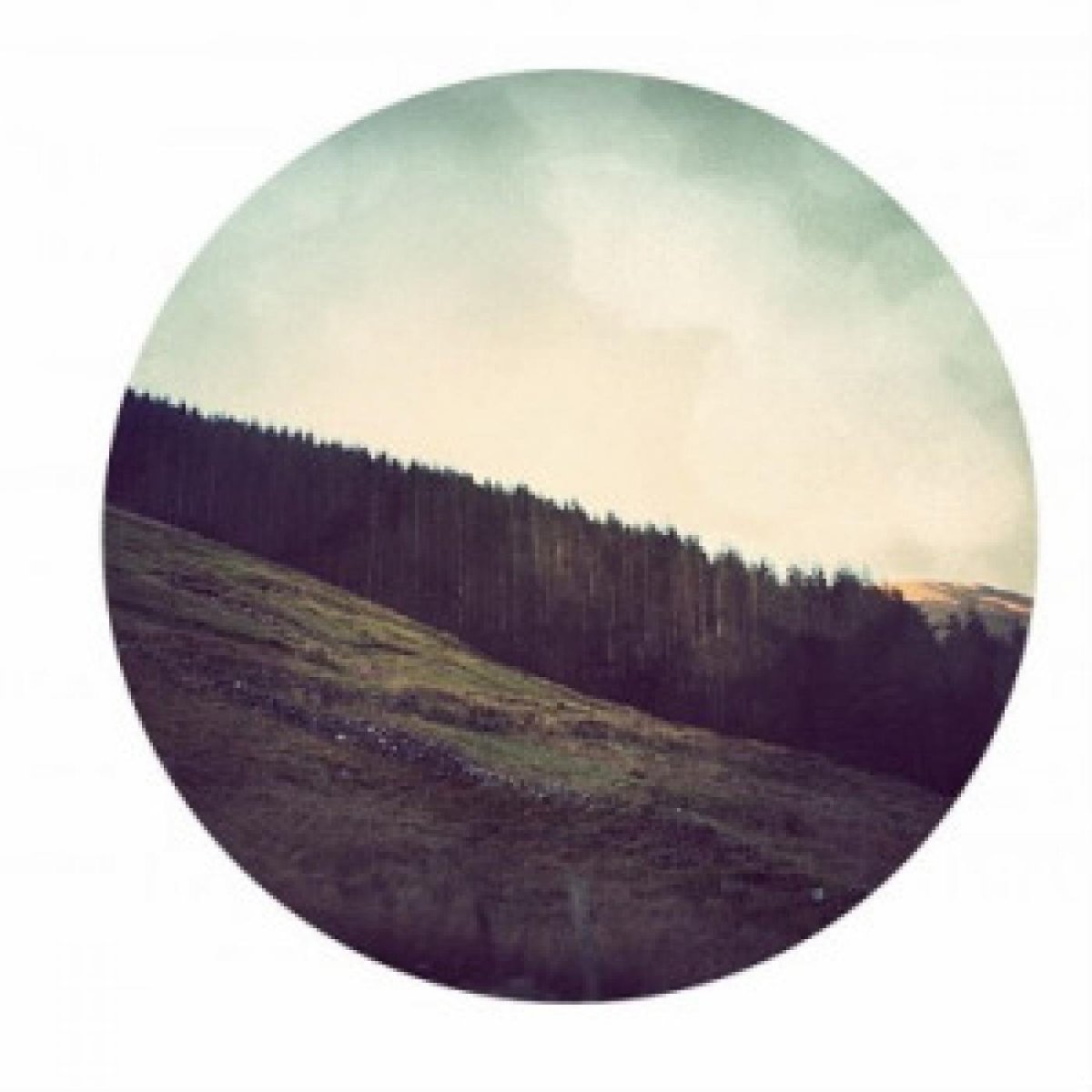 Круглое в природе