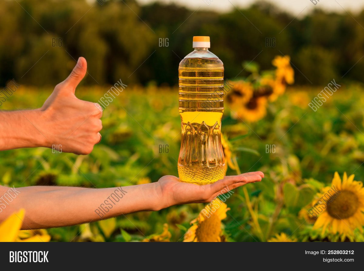 Подсолнечное масло в руке