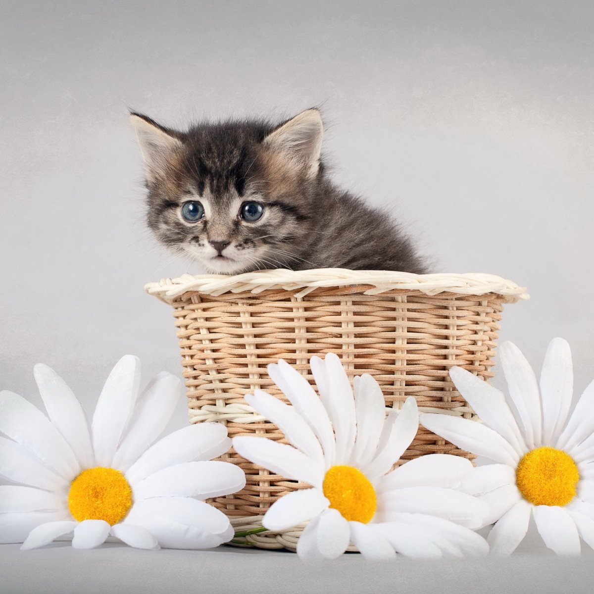 Поздравления с днём рождения Юля