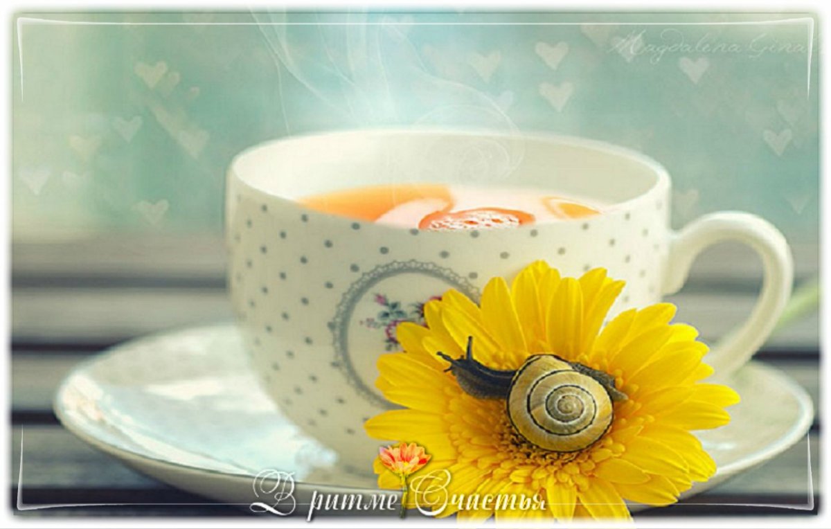 Пожелания с добрым утром с солнцем